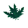Clean lantadyme