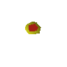 Ruby amulet