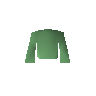 Green robe top