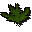 Clean ranarr