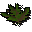 Grimy ranarr